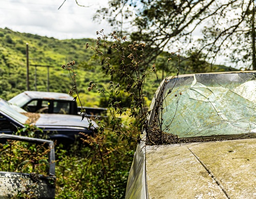 Gallery Of Photography By Norberto Kreutzer Fruhauf - Brazil