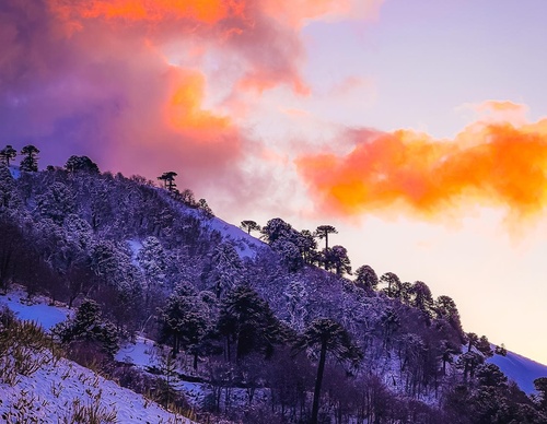 Gallery Of Photography By Sebastián Ojeda S - Chile