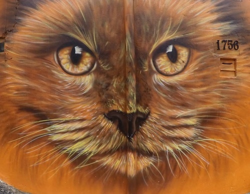 Gallery Of Street Art By Diego Forms - Brazil