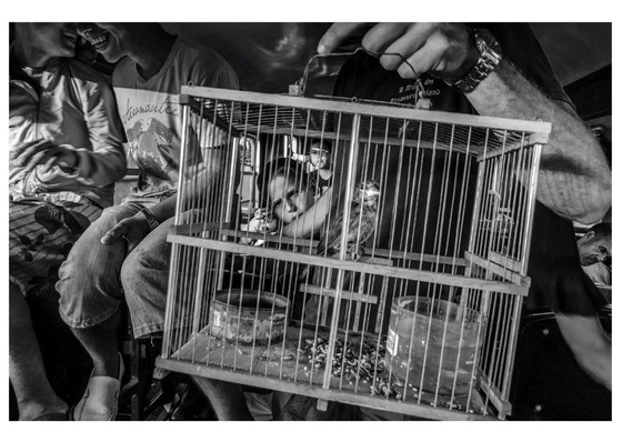 Galeria de Fotografia de Arien Chang Castan-Cuba