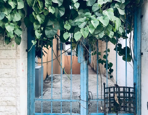 Galería de fotografía de puerta en Palestina