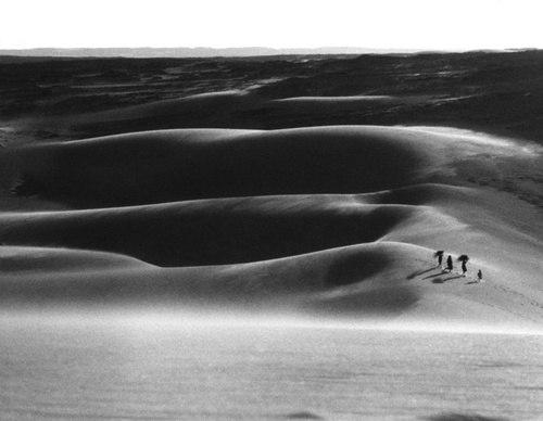 raymond depardon