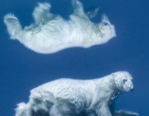 Galeria de Fotografia de Cristina Goettsch Mittermeier - México