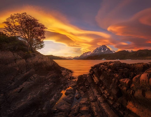 Gallery Of Photography By Rodrigo Viveros - Chile