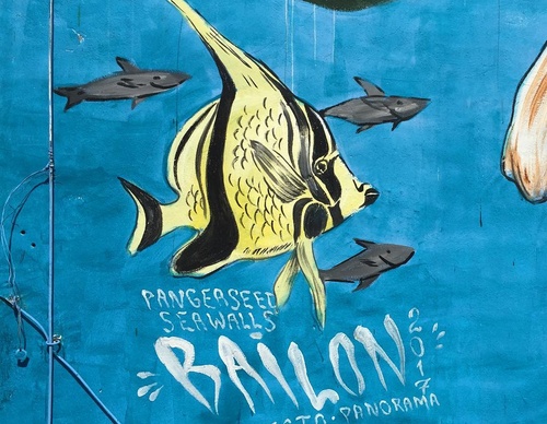 Gallery Of Street Art By Bailon - Brazil