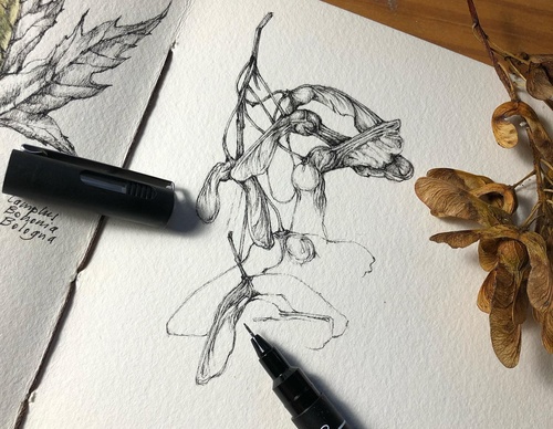 Gallery of Drawing by GiacoMina Ferrillo-Italy