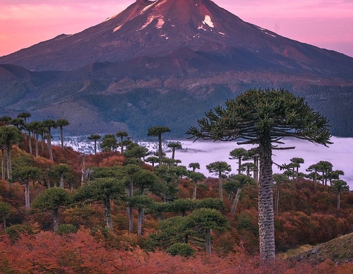 Gallery Of Photography By Jaime Garcés - Chile