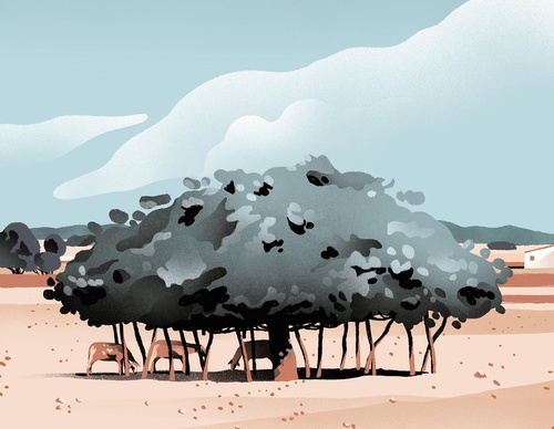 Galeria de ilustrações de Borja Bonaque - Espanha