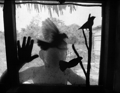 raul canibano