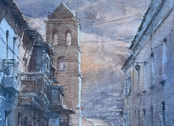 jorge swinnen