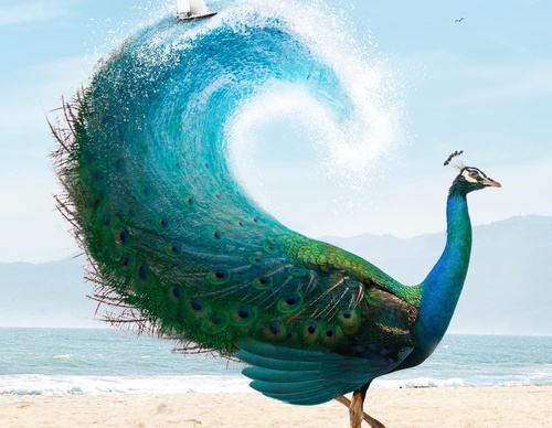 Galería De Ilustración De Luisa Azevedo - Portugal