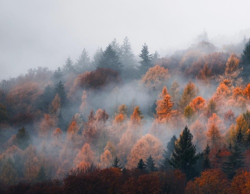 Galería de fotografías de Jan Pallmer - Alemania