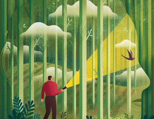 Gallery Of Illustration By Cat Finnie - England