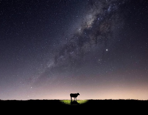 Galeria de Fotografia de Ricardo Takamura - Brasil