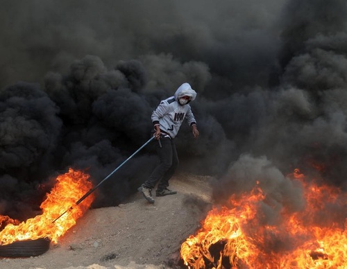 Galería de fotografías de Mohammed Zaanoun - Palestina
