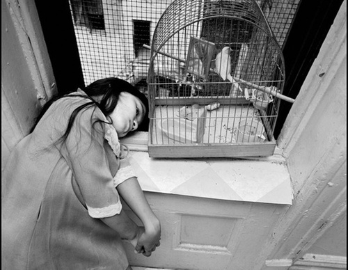 bruce davidson