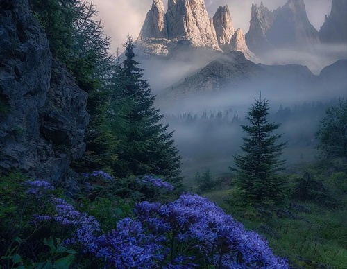 Gallery Of Photography By Max Rive - Netherlands