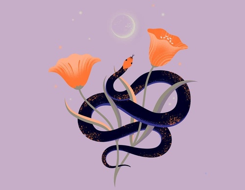 Gallery Of Illustration By Cat Finnie - England