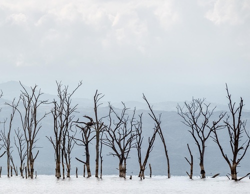 Galeria de Fotografia de Cristina Goettsch Mittermeier - México