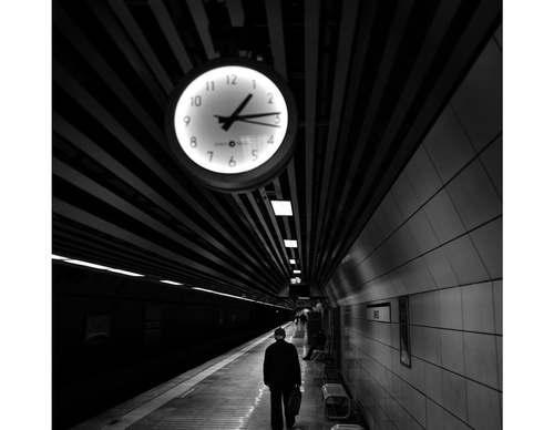 Galeria de fotografia de Ovidiu Șelaru - Romênia