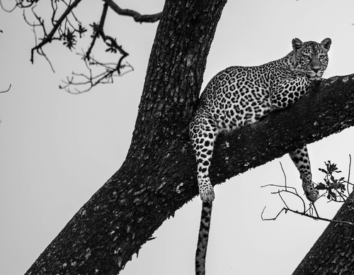 Gallery Of Photography By Fernando Faciole - Brazil