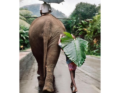 Gallery Of Photography By Steve McCurry - USA