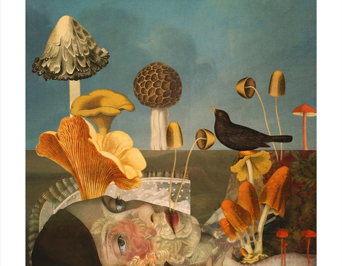 Galeria de ilustrações de Sarah Jarrett - Jamaica