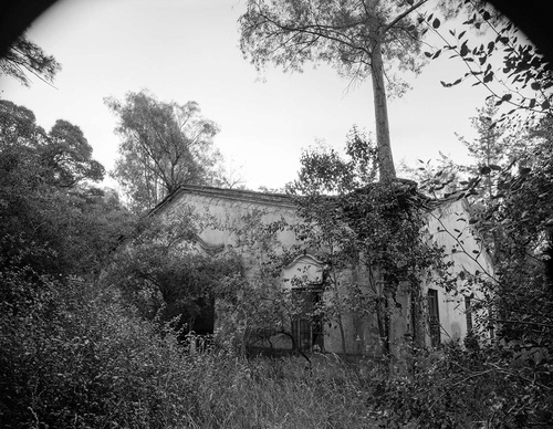 guillermo srodek hart