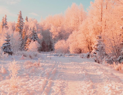 Gallery Of Photography By Patrick Thun - Alaska