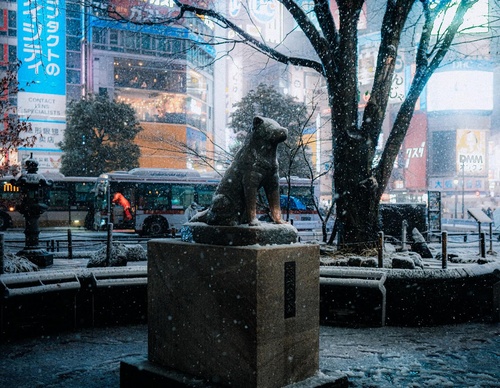 Gallery Of Photography By Junya Watanabe - Japan