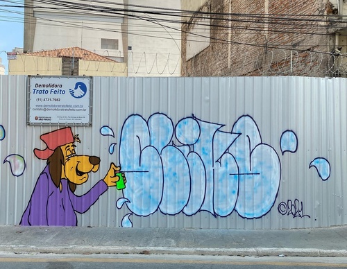 Gallery Of Street Art By Rafael Sliks - Brazil