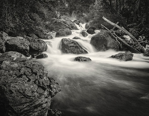 Galería de fotografía de Patricio Rodríguez - Argentina