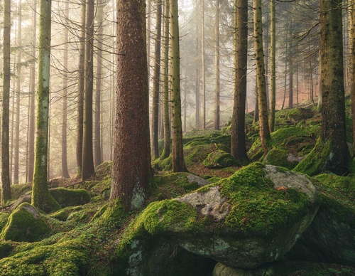 Galería de fotografías de Pujan Shadlau - Austria