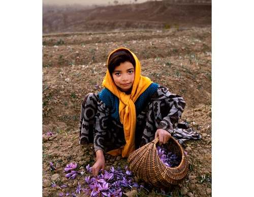 Galeria de fotografias de Steve McCurry - EUA