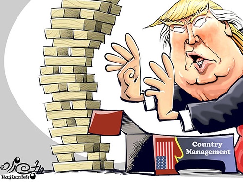 cartoon section