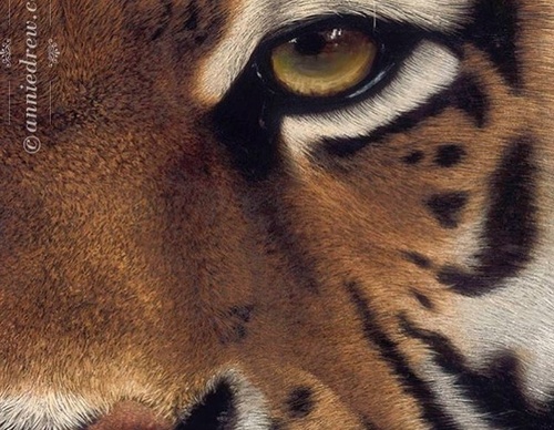Galería de pintura realista de Annie Drew - Reino Unido