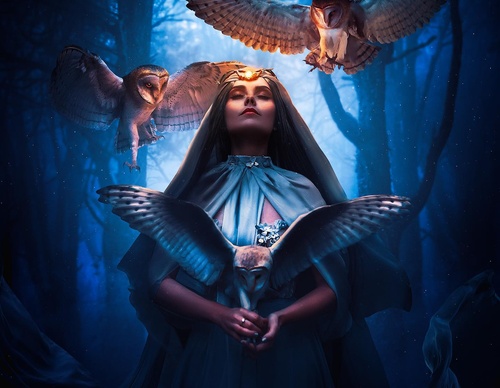 Galeria de ilustrações de João Cunico - Brasil