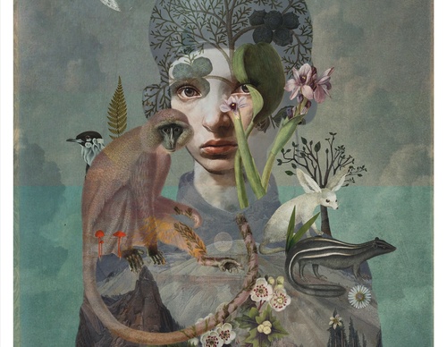 Galeria de ilustrações de Sarah Jarrett - Jamaica