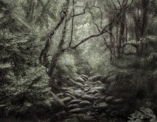 Gallery Of Photography By Cassio Vasconcellos - Brazil