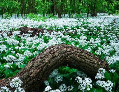 Gallery Of Photography By Mads Peter - Danish