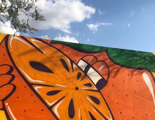 Gallery Of Street Art By Peemouh - Mexico