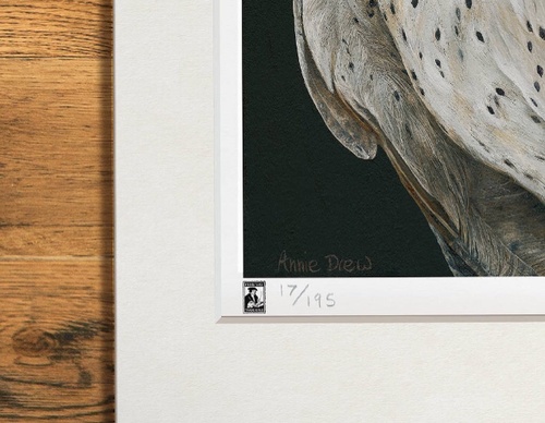 Galería de pintura realista de Annie Drew - Reino Unido