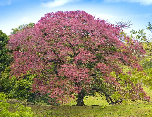 costa rica jim zuckerman