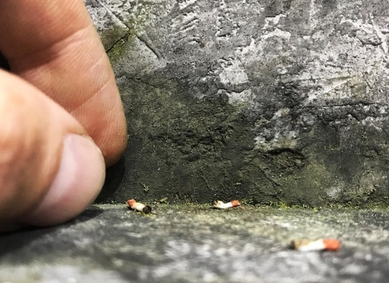 raphael truffi bortholuzzi brazil