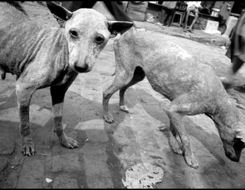 Galería de Fotografía de Bruce Gilden – Estados Unidos