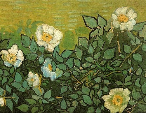 Painting Gallery by Vincent van Gogh-Netherlands