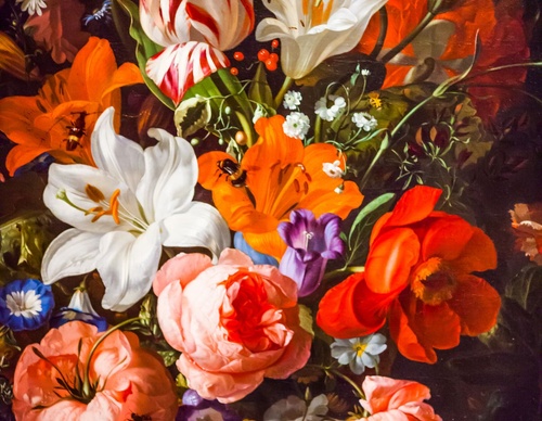 Galería de pintura de Rachel Ruysch, Países Bajos