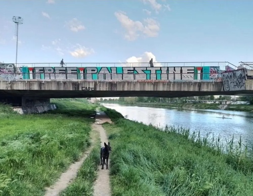 Gallery Of Street Art For Palestine