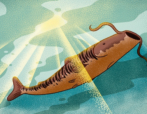 Gallery Of Illustration By Alan Berry Rhys - Argentina