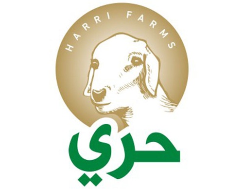 tarek atrissi design